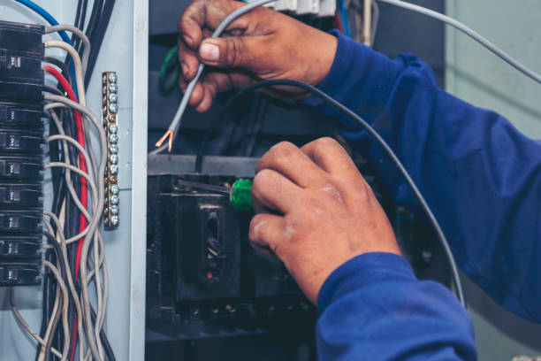Best Electric Panel Repair  in Hinton, WV